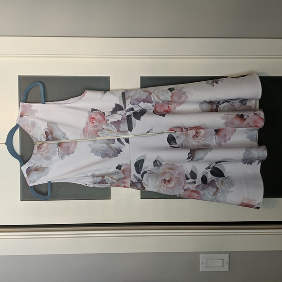 NWT Ted Baker Size 4 Dress - Picture 4 of 7